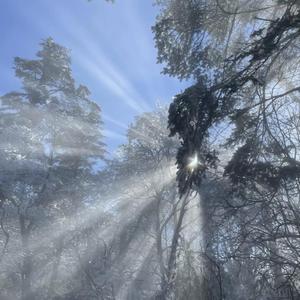 日本人被黑人操
