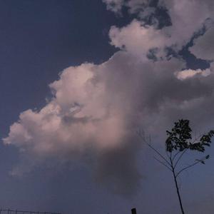 日本人被黑人操
